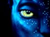 avatar-le-film-fond-ecran.jpg