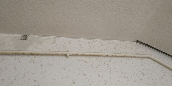 IMG_20200807_145455.jpg
