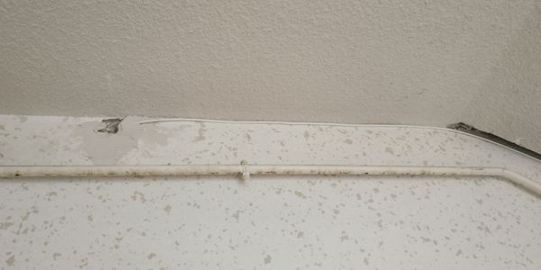 IMG_20200807_145457.jpg