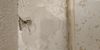 IMG_20200807_145711.jpg