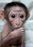 FB_IMG_1494278505743.jpg