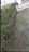 805BDD46-AE4A-420F-ABA5-373D55C755DB.jpeg