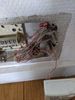 IMG_20201023_131418.jpg