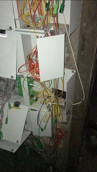 52f01033-c0a5-4321-bdf5-3ea20f87eec2.jpg