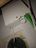 Boitier fibre