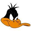 Daffy Bec.jpg