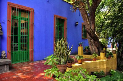 Frida_Kahlo_House,_Mexico_City_(6998147374).jpg