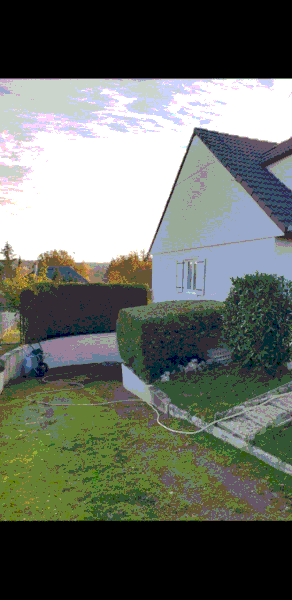 Screenshot_20201114-160852_Gallery.gif