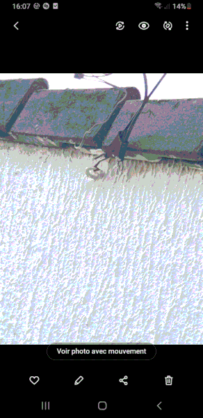 Screenshot_20201114-160710_Gallery.gif