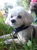 Profil (POLLUX39)