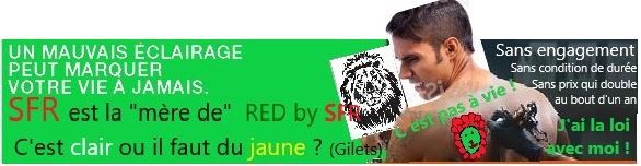 C'est clair c'est vert libre2.jpg