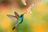 colibri-fleur-71-1578654641.jpg