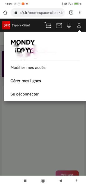 Screenshot_2021-01-11-11-28-54-212_com.android.chrome-01.jpeg