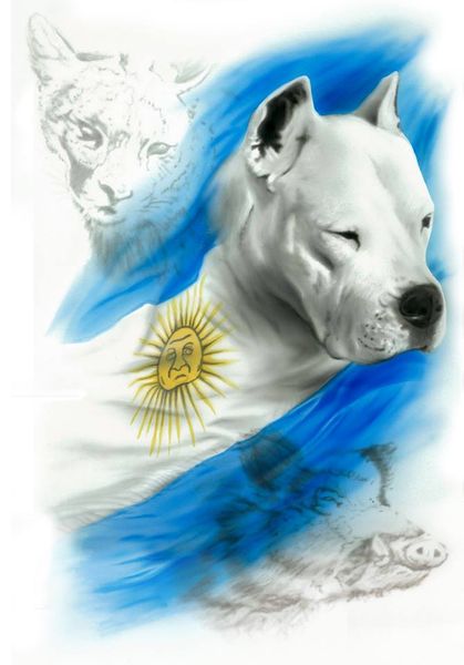 dogo.jpg