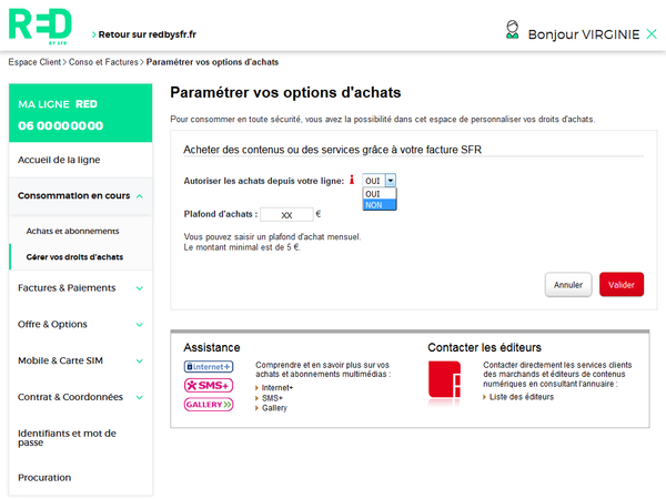 RED by SFR Mobile: Options-d'achats de Virginie-chan
