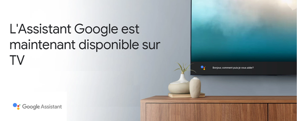 Assistant Google - Connect TV RED.png