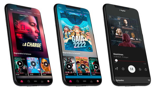 Détail de l'appli 2 - Option Sybel.png Détail de l'appli 2 - Option Sybel.png