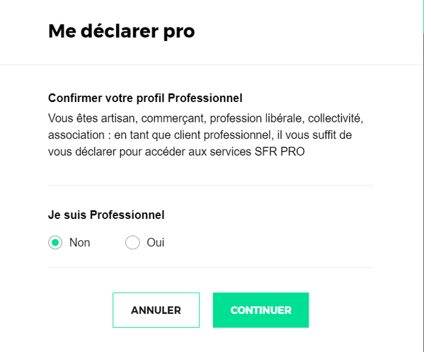 Capture d’écran 2021-07-14 113441.png