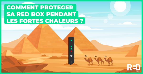 RED_BoxFecho2021_VR.png RED_BoxFecho2021_VR.png