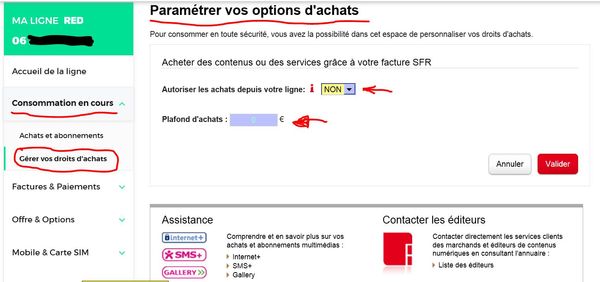 OPTIONS D'ACHATS-00.JPG