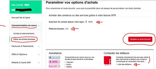 OPTIONS D'ACHATS-01.JPG