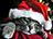 xmascat.jpeg