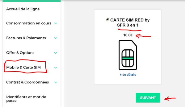 COMMANDE CARTE SIM-02.JPG