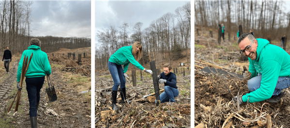 MicrosoftTeams-image (wecompress.com).png MicrosoftTeams-image (wecompress.com).png