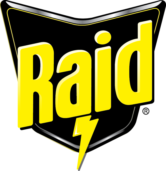 Raidgroup-Logo.png