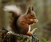 Profil (XBouBou)