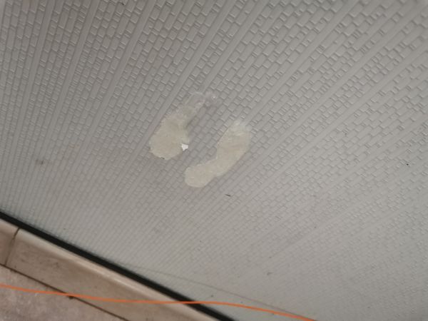 IMG_20220903_164447.jpg