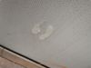 IMG_20220903_164447.jpg