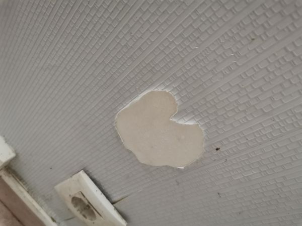 IMG_20220903_164452.jpg