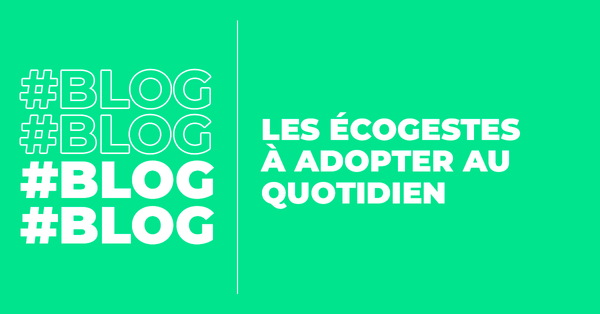 BLOG_ecogeste.png