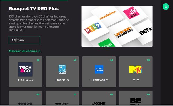 Bouquet RED Plus.jpg