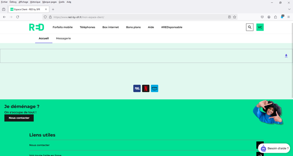 Capture d'écran 2024-12-07 103315.png