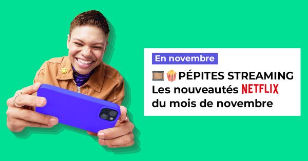 banniere-netflix-novembre.jpg