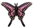 butterflypinkkleinmirror_300x300_-removebg-preview-transformed.png