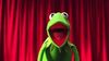 Kermit red curtain.jpg
