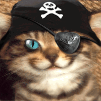 ChatSouris_pirate_200c.gif