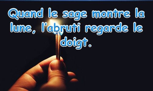 citation-dites-proverbe-Quand-le-sage-montre-la-lune-labruti-regarde-le-doigt.-ConvertImage.jpg