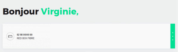 RED Box : Offres 2017