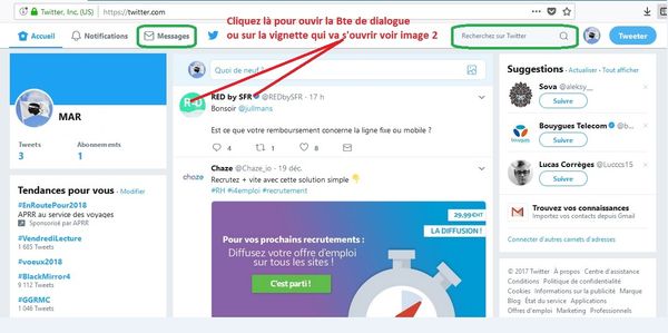 Twitter 2 Accès Bte dialog.jpg