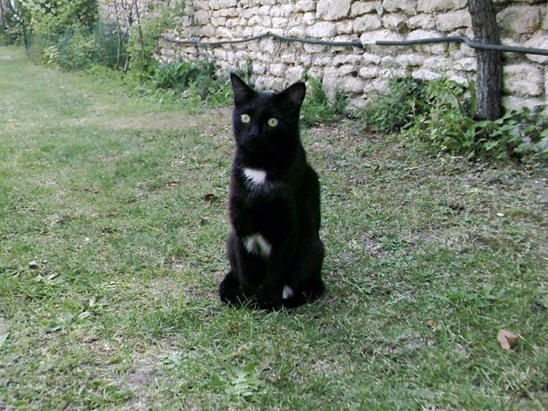 Bouba 26 mai 2009 (3).jpg