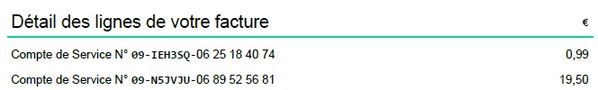 détails des lignes de votre facture.jpg